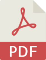 PDF Vorschau Icon